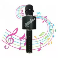 Микрофон караоке беспроводной Magic Karaoke с динамиком YS-66 (50)