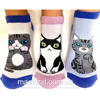 Шкарпетки жіночі демісезонні безшовні хб Мастер коти